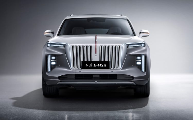  HongQi E-HS9: Ваш стиль, наша адаптация!