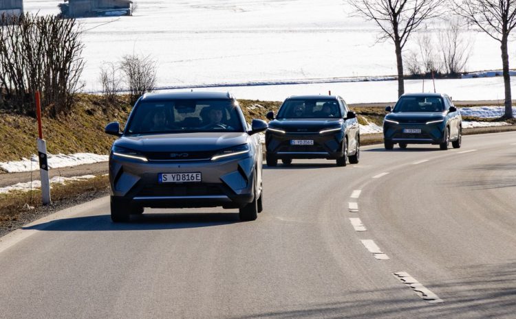  Продажи BYD в Германии взлетели до небес