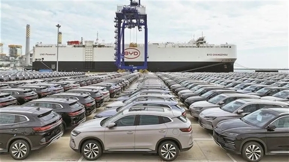  Акции BYD падают: что происходит с китайским автогигантом?