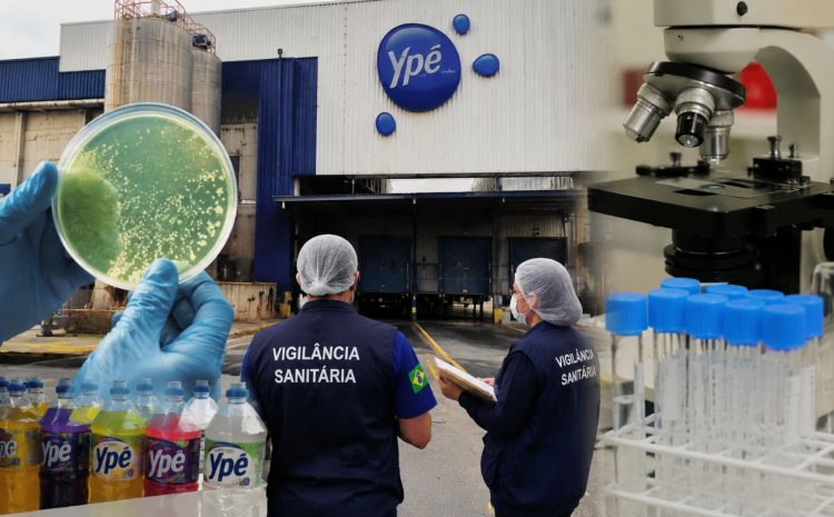  BYD тестирует электрические грузовики в Бразилии